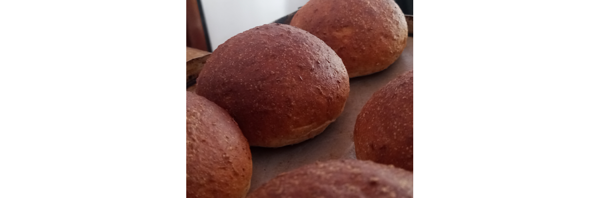 PanesyPizza-1200x400 (4)